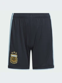 Шорты Adidas модель KA8113-KZ Фото