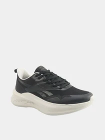 Кроссовки Reebok ANES RUN I модель 102025269 Фото