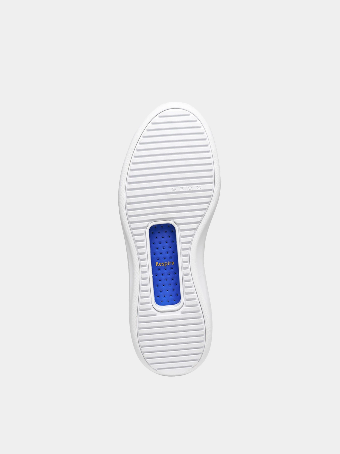 Кроссовки Geox модель U656JA-0T522-C1352 Кроссовки Geox модель U656JA-0T522-C1352 Фото