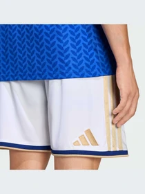 Шорты Adidas модель JL6941-KZ Фото