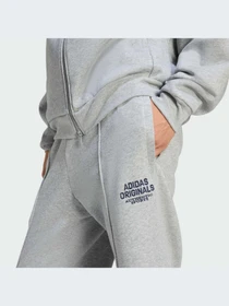Брюки Adidas Graphics модель KE2241-KZ Фото