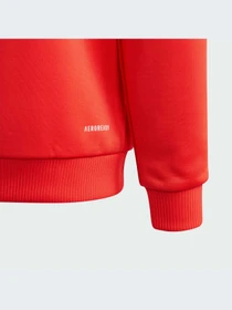 Худи и свитшоты Adidas модель IK3113-KZ Фото
