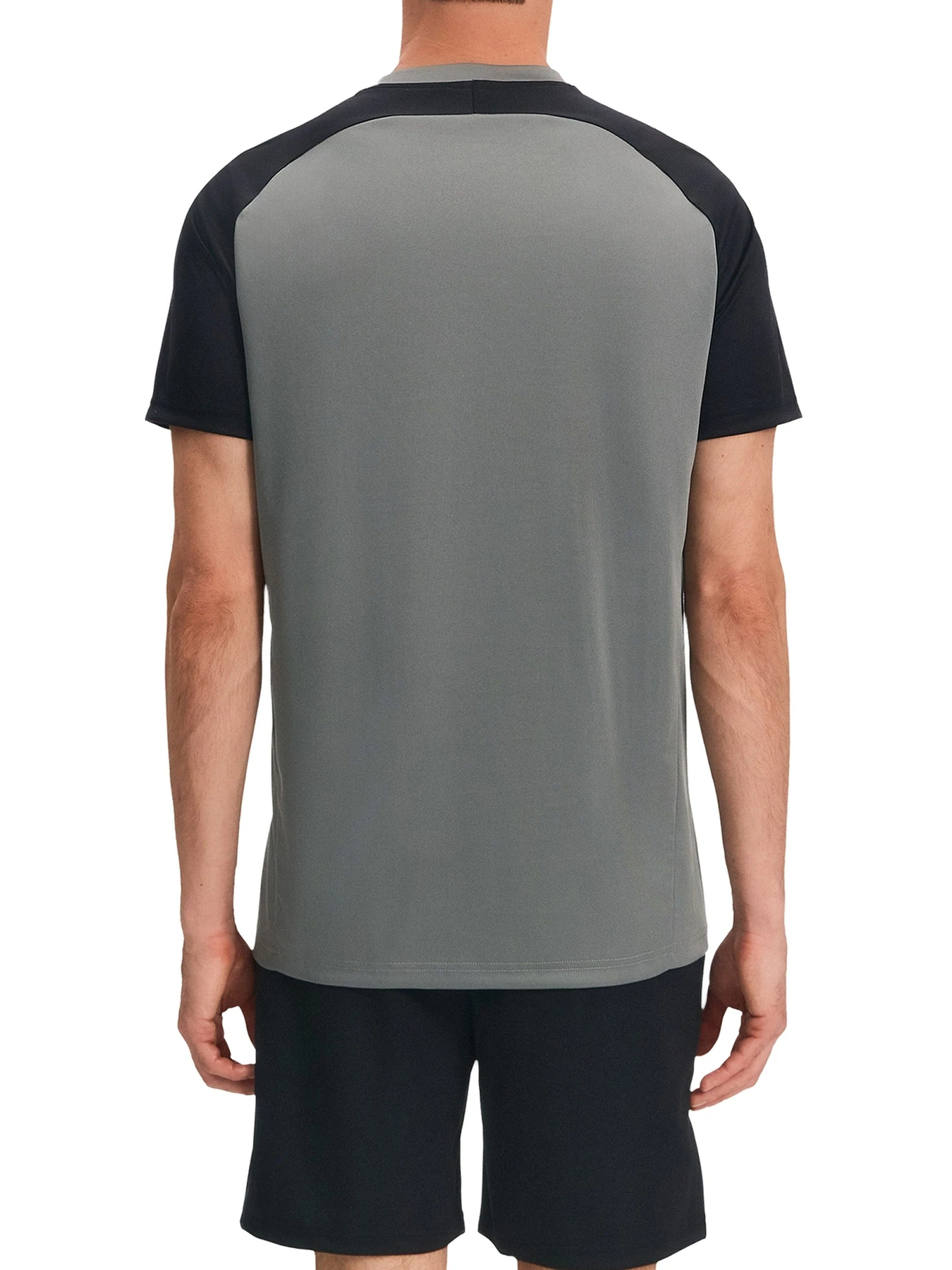Футболки и поло Reebok GASCOINE COLOUR BLOCK TRA модель 102248041 Футболки и поло Reebok GASCOINE COLOUR BLOCK TRA модель 102248041 Фото