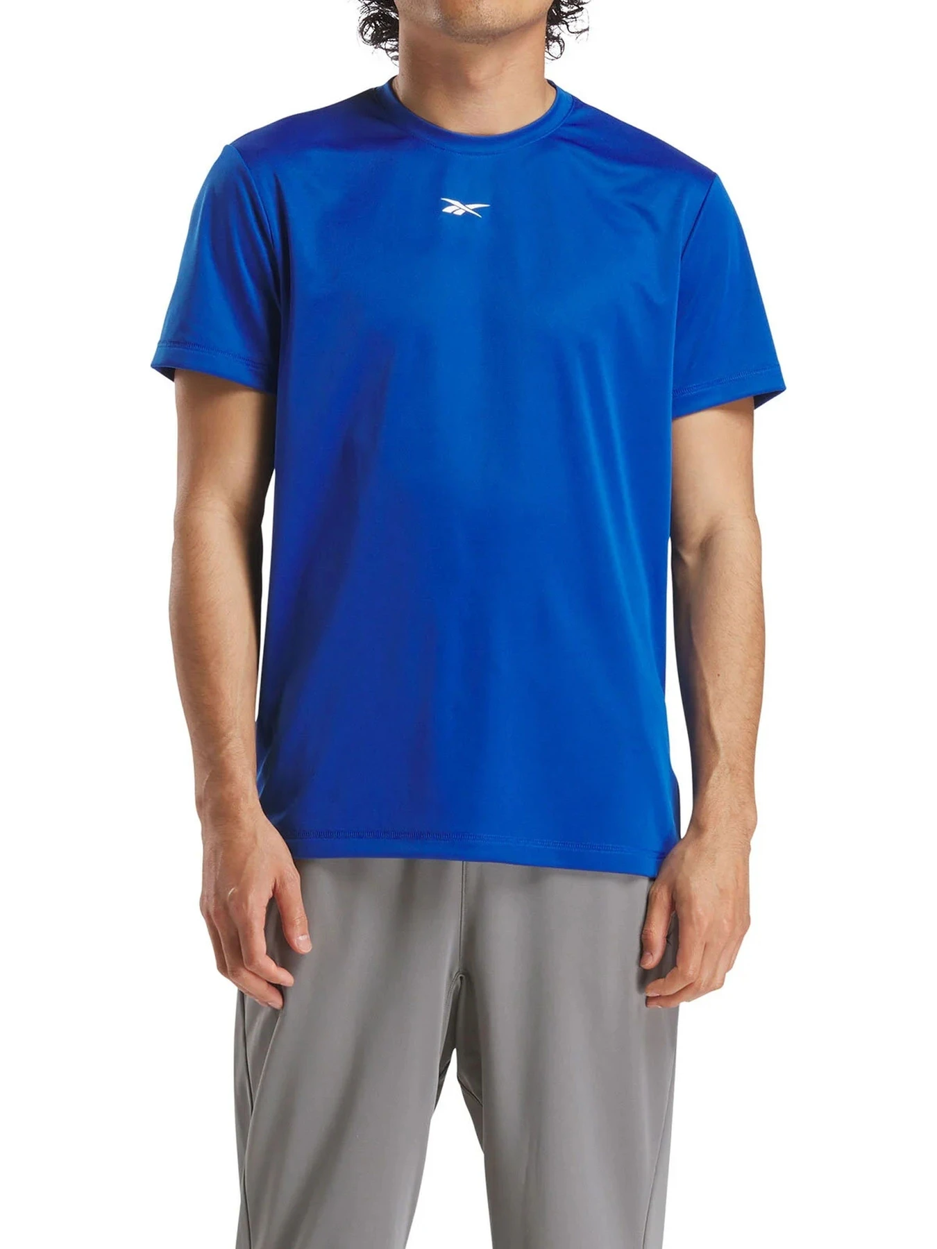 Футболки и поло Reebok ID TRAIN SS TECH TEE модель 102248069 Футболки и поло Reebok ID TRAIN SS TECH TEE модель 102248069 Фото