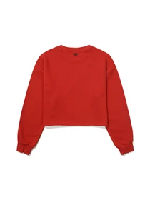 Худи и свитшоты Superdry модель SDFMRDO07-red Фото
