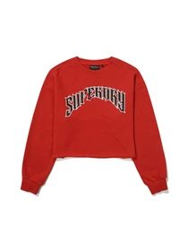 Худи и свитшоты Superdry модель SDFMRDO07-red Фото