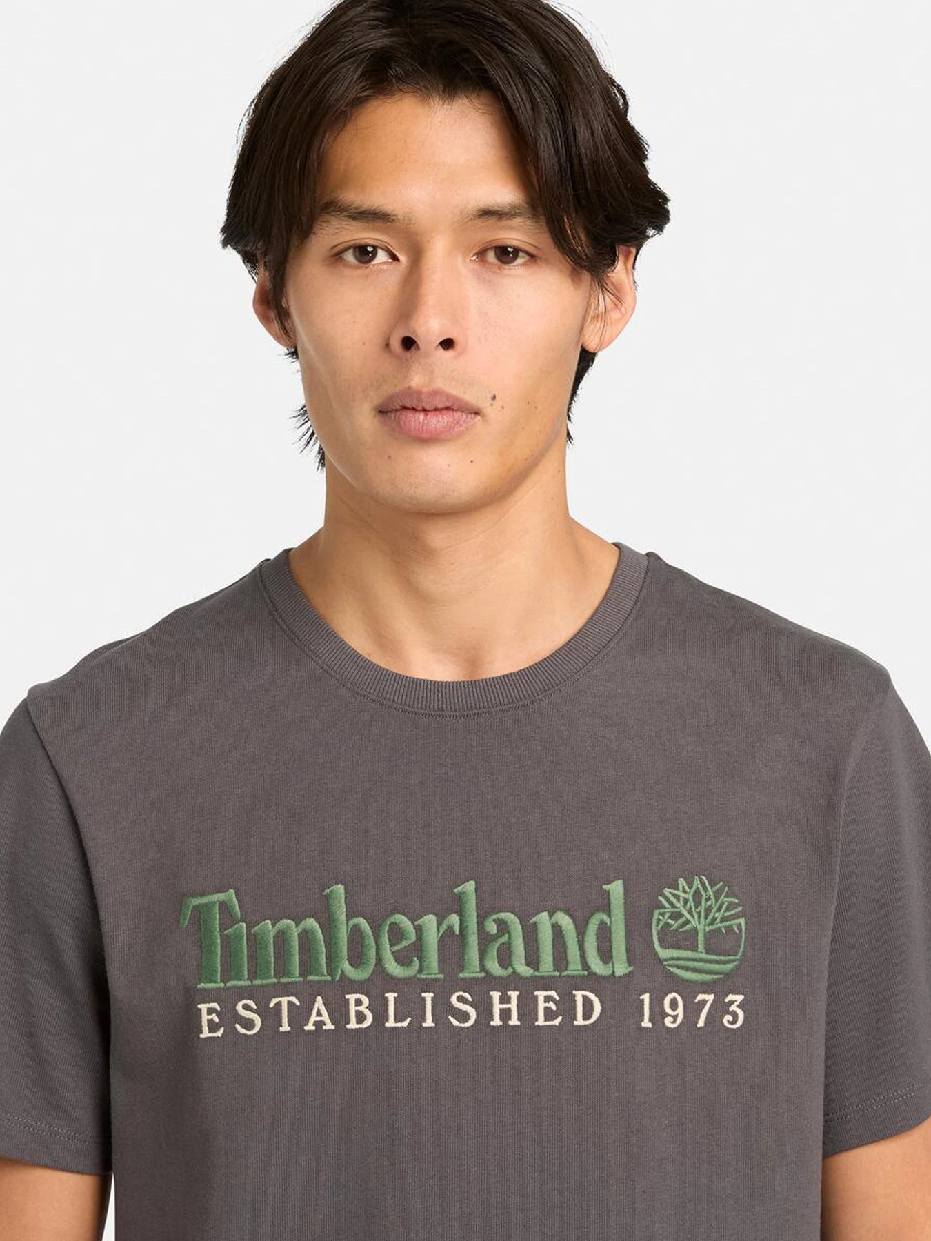 Футболки и поло Timberland модель TB0A6SE1W08 Футболки и поло Timberland модель TB0A6SE1W08 Фото
