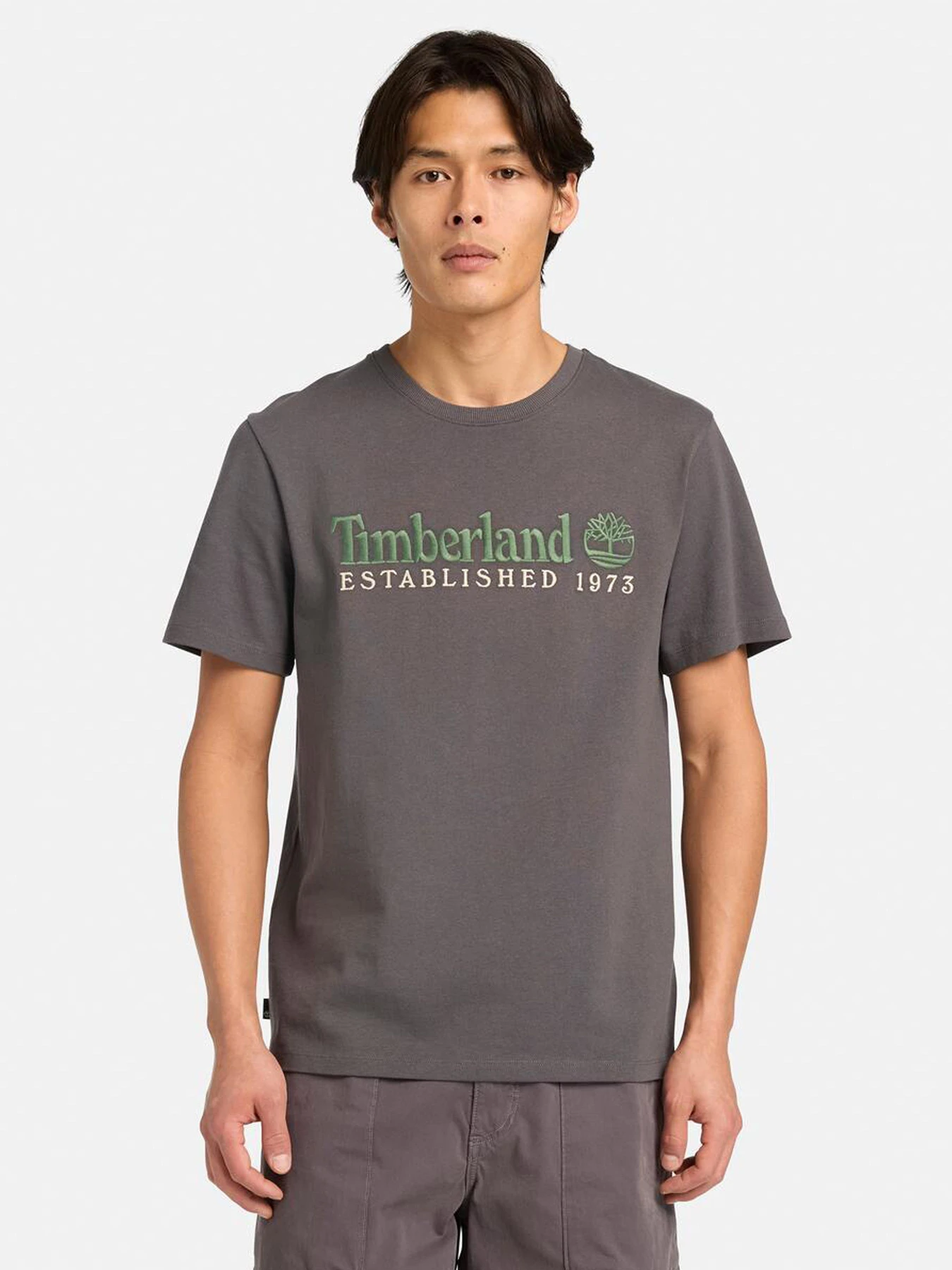 Футболки и поло Timberland модель TB0A6SE1W08 Футболки и поло Timberland модель TB0A6SE1W08 Фото