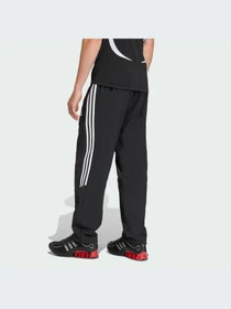 Брюки Adidas Adicolor модель KD5866-KZ Фото