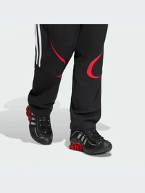 Брюки Adidas Adicolor модель KD5866-KZ Фото