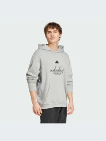 Худи и свитшоты Adidas модель IX1316-KZ Фото