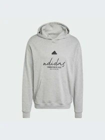 Худи и свитшоты Adidas модель IX1316-KZ Фото