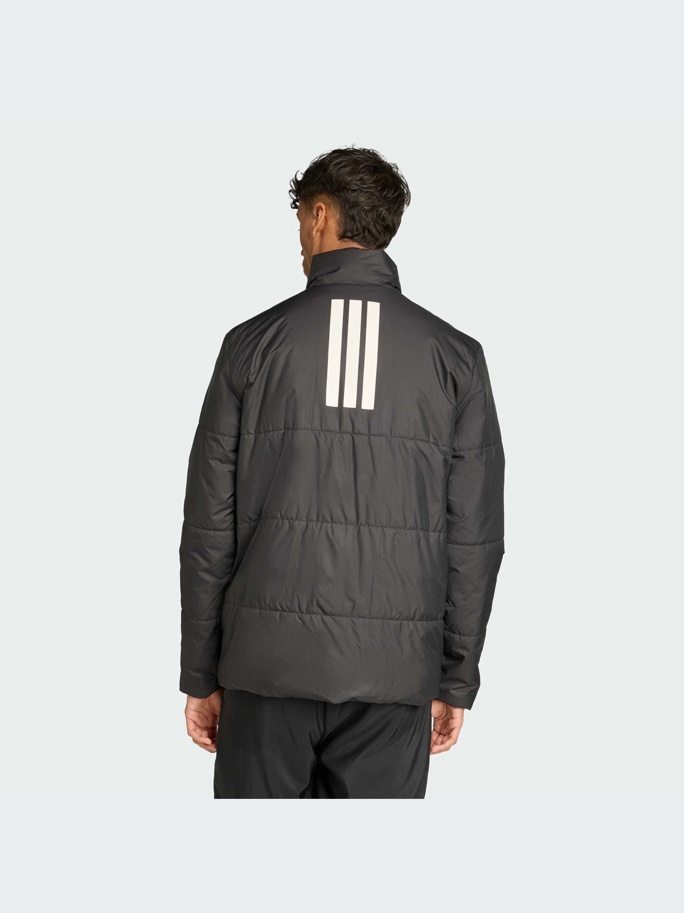 Куртки и дубленки Adidas модель JM3922-KZ Куртки и дубленки Adidas модель JM3922-KZ Фото