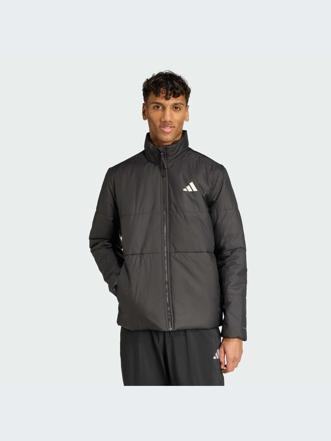 Куртки и дубленки Adidas модель JM3922-KZ Куртки и дубленки Adidas модель JM3922-KZ Фото