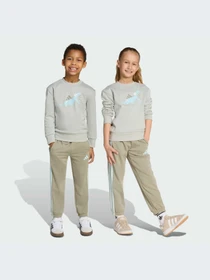 Костюмы Adidas модель JV7951-KZ Фото