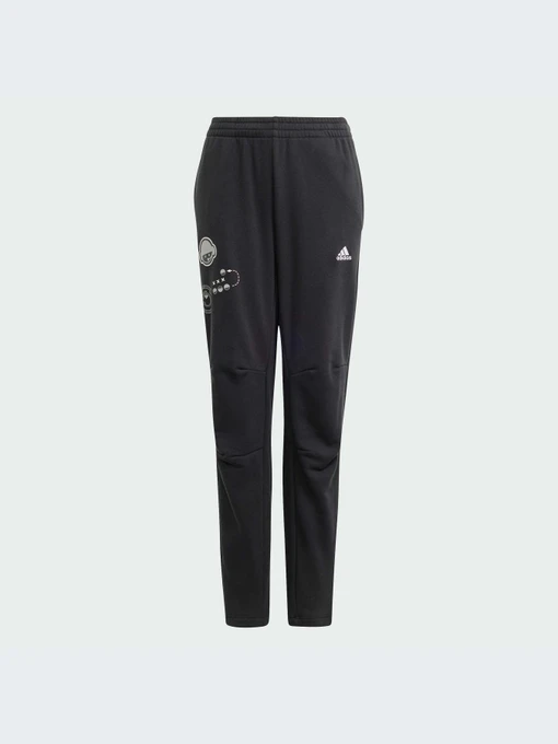 Брюки Adidas модель IN3299-KZ Фото