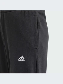 Брюки Adidas модель IN3299-KZ Фото