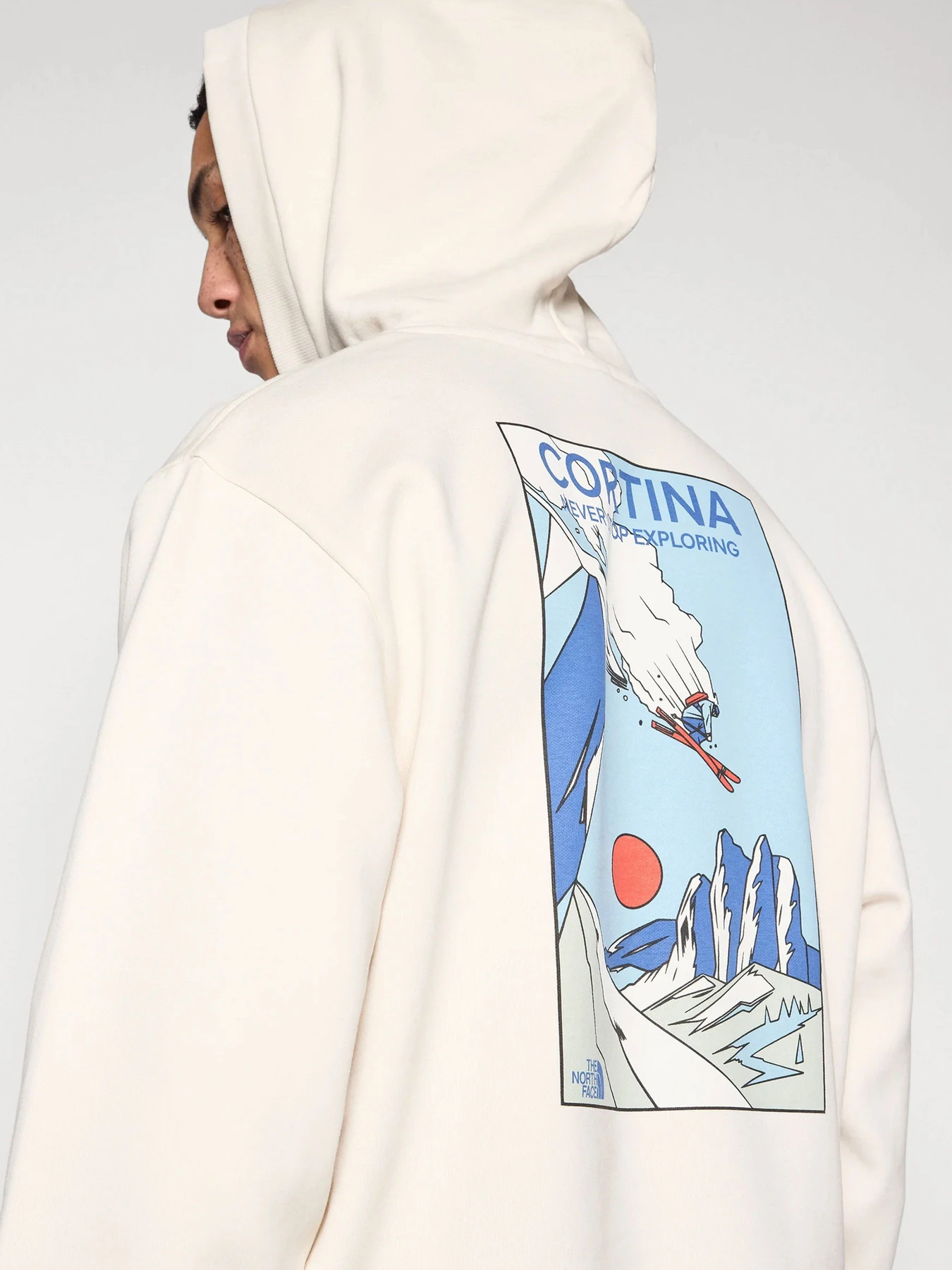 Худи и свитшоты The North Face модель NF0A8GB9QLI1 Худи и свитшоты The North Face модель NF0A8GB9QLI1 Фото