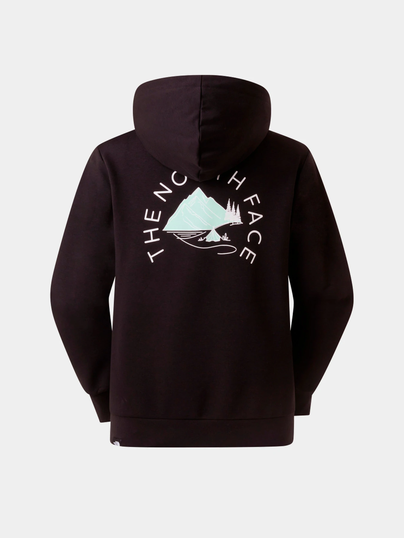 Худи и свитшоты The North Face модель NF0A8GAAJK31 Худи и свитшоты The North Face модель NF0A8GAAJK31 Фото