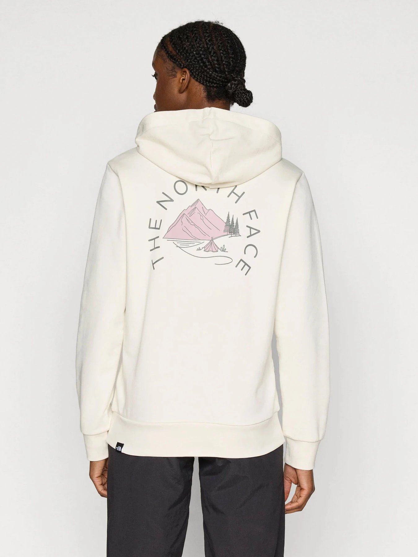 Худи и свитшоты The North Face модель NF0A8GAAQLI1 Худи и свитшоты The North Face модель NF0A8GAAQLI1 Фото
