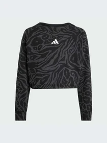 Худи и свитшоты Adidas модель JM1367-KZ Фото