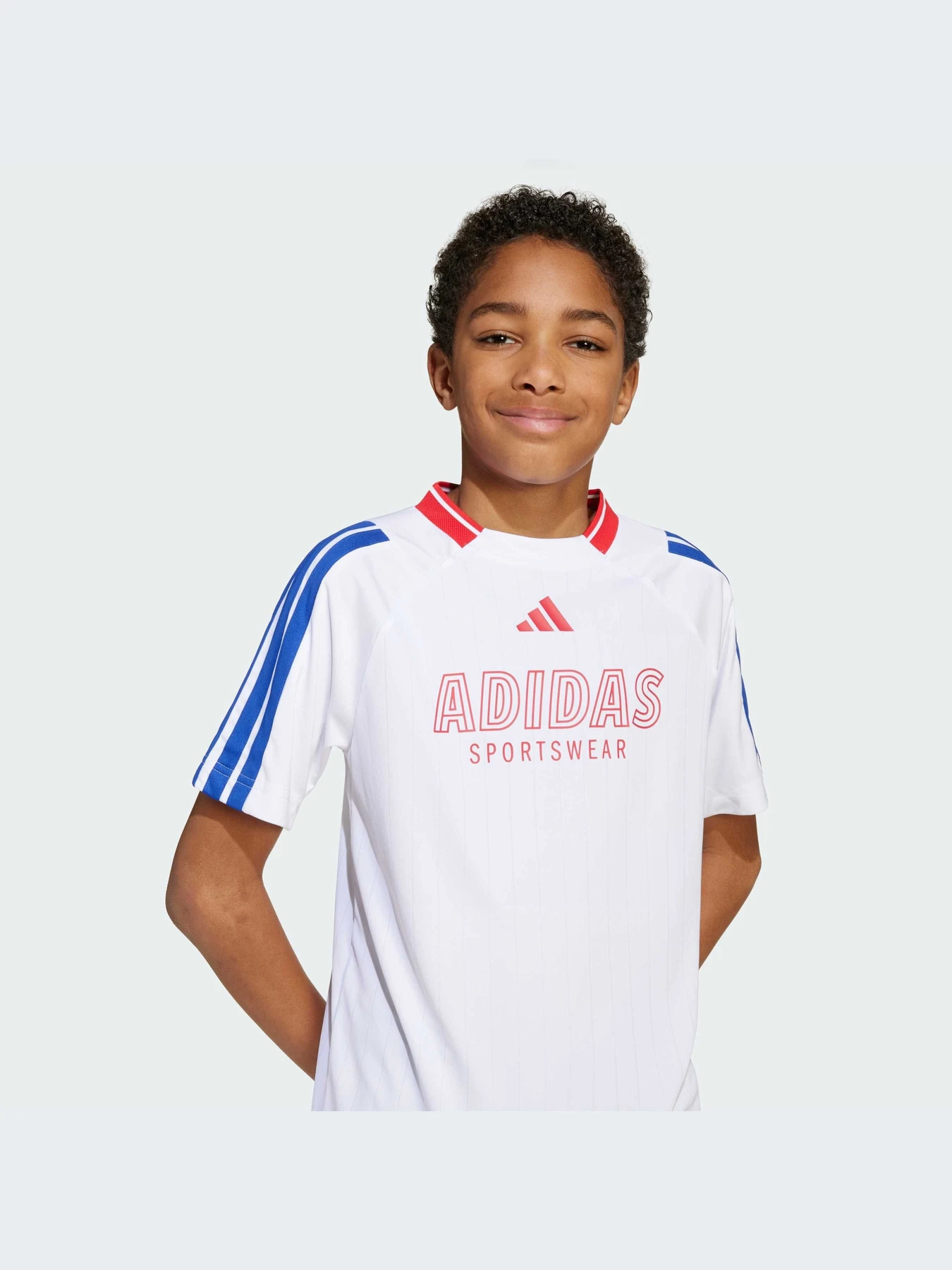 Футболки и поло Adidas Tiro модель JW7418-KZ Футболки и поло Adidas Tiro модель JW7418-KZ Фото