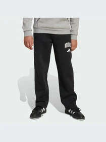 Брюки Adidas модель JM1538-KZ Фото