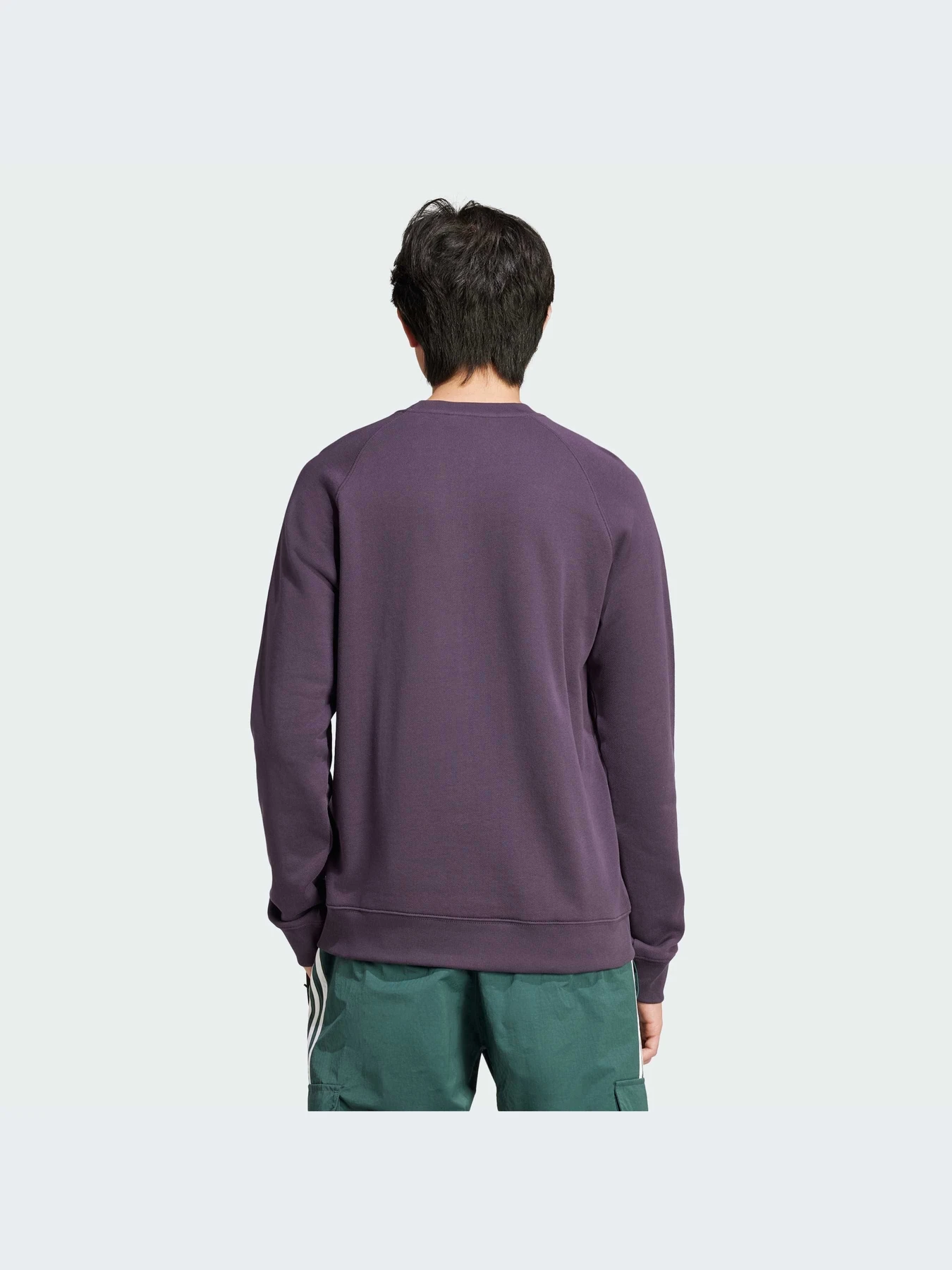 Худи и свитшоты Adidas Adicolor модель IZ2358-KZ Худи и свитшоты Adidas Adicolor модель IZ2358-KZ Фото