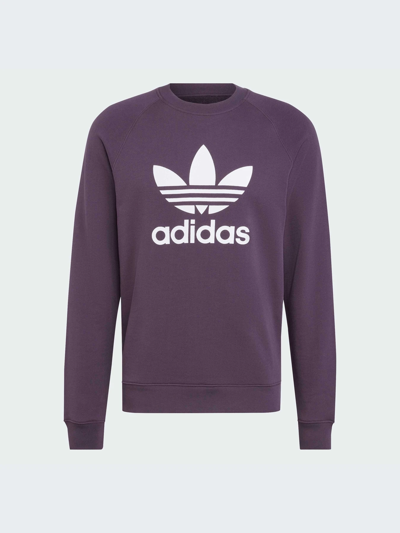 Худи и свитшоты Adidas Adicolor модель IZ2358-KZ Худи и свитшоты Adidas Adicolor модель IZ2358-KZ Фото
