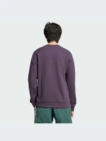 Худи и свитшоты Adidas Adicolor модель IZ2358-KZ Фото