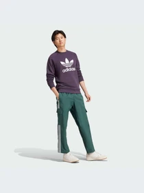Худи и свитшоты Adidas Adicolor модель IZ2358-KZ Фото