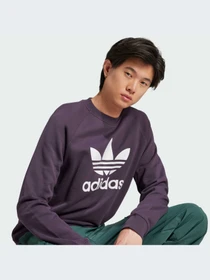 Худи и свитшоты Adidas Adicolor модель IZ2358-KZ Фото