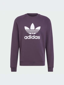 Худи и свитшоты Adidas Adicolor модель IZ2358-KZ Фото