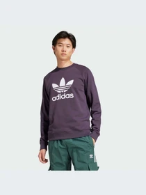 Худи и свитшоты Adidas Adicolor модель IZ2358-KZ Фото