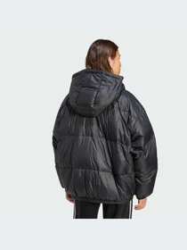 Куртки и дубленки Adidas модель JX5338-KZ Фото