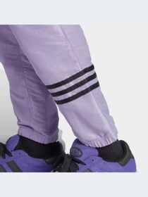 Брюки Adidas Adicolor модель HR8693-KZ Фото