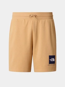 Шорты The North Face модель NF0A8GQ8LK51 Фото