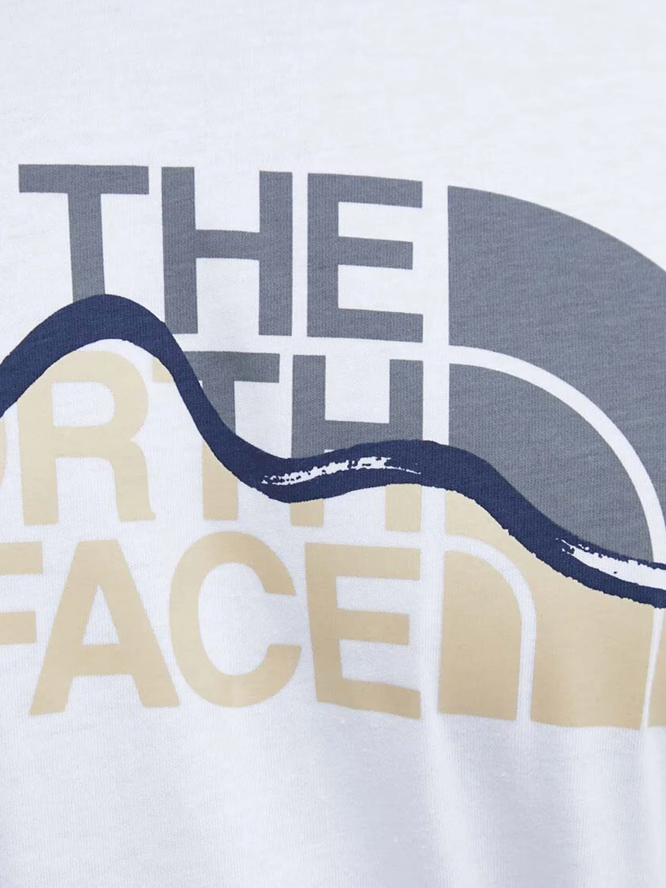 Футболки и поло The North Face модель NF0A8GUXFN41 Футболки и поло The North Face модель NF0A8GUXFN41 Фото