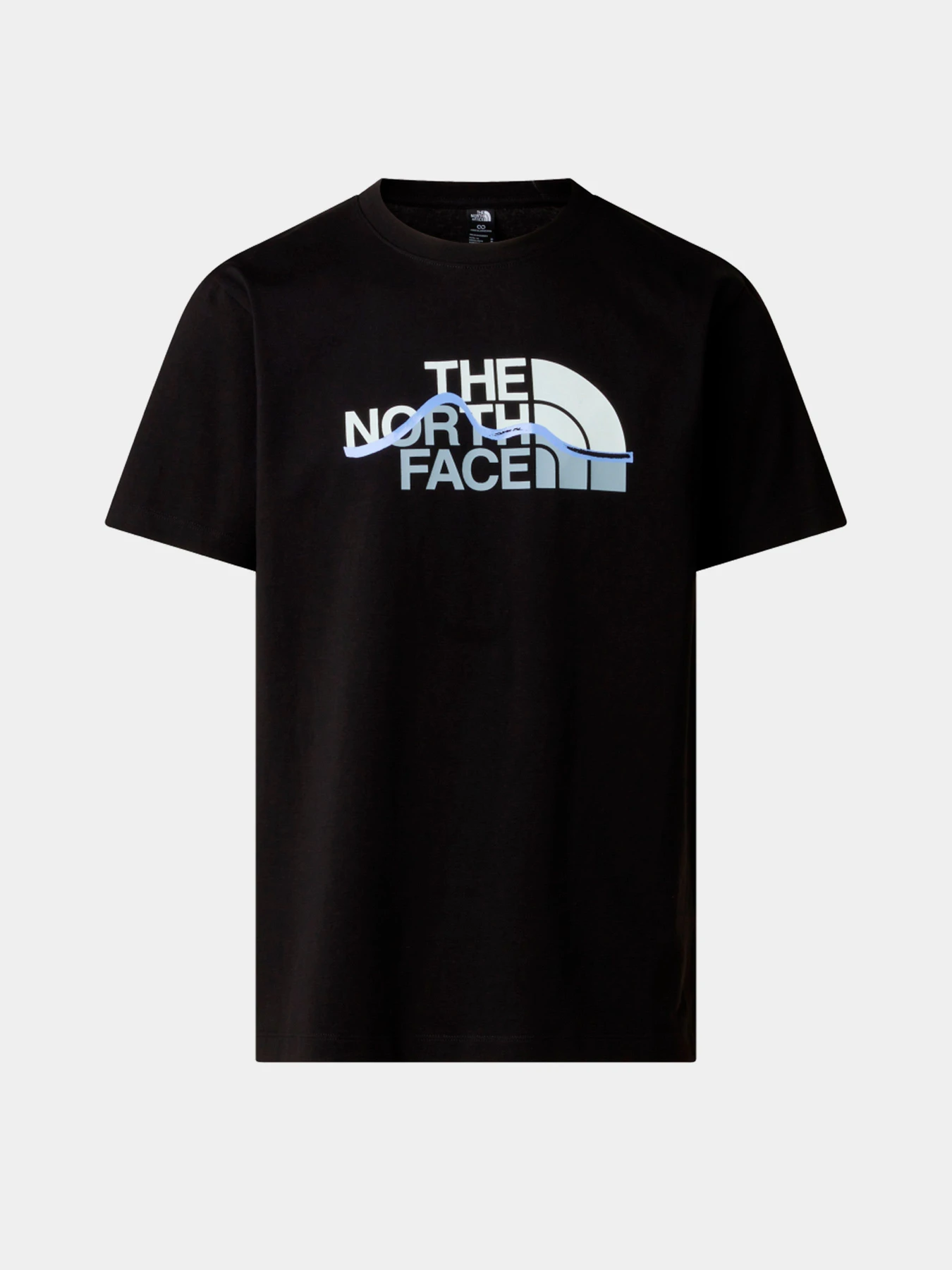Футболки и поло The North Face модель NF0A8GUXJK31 Футболки и поло The North Face модель NF0A8GUXJK31 Фото
