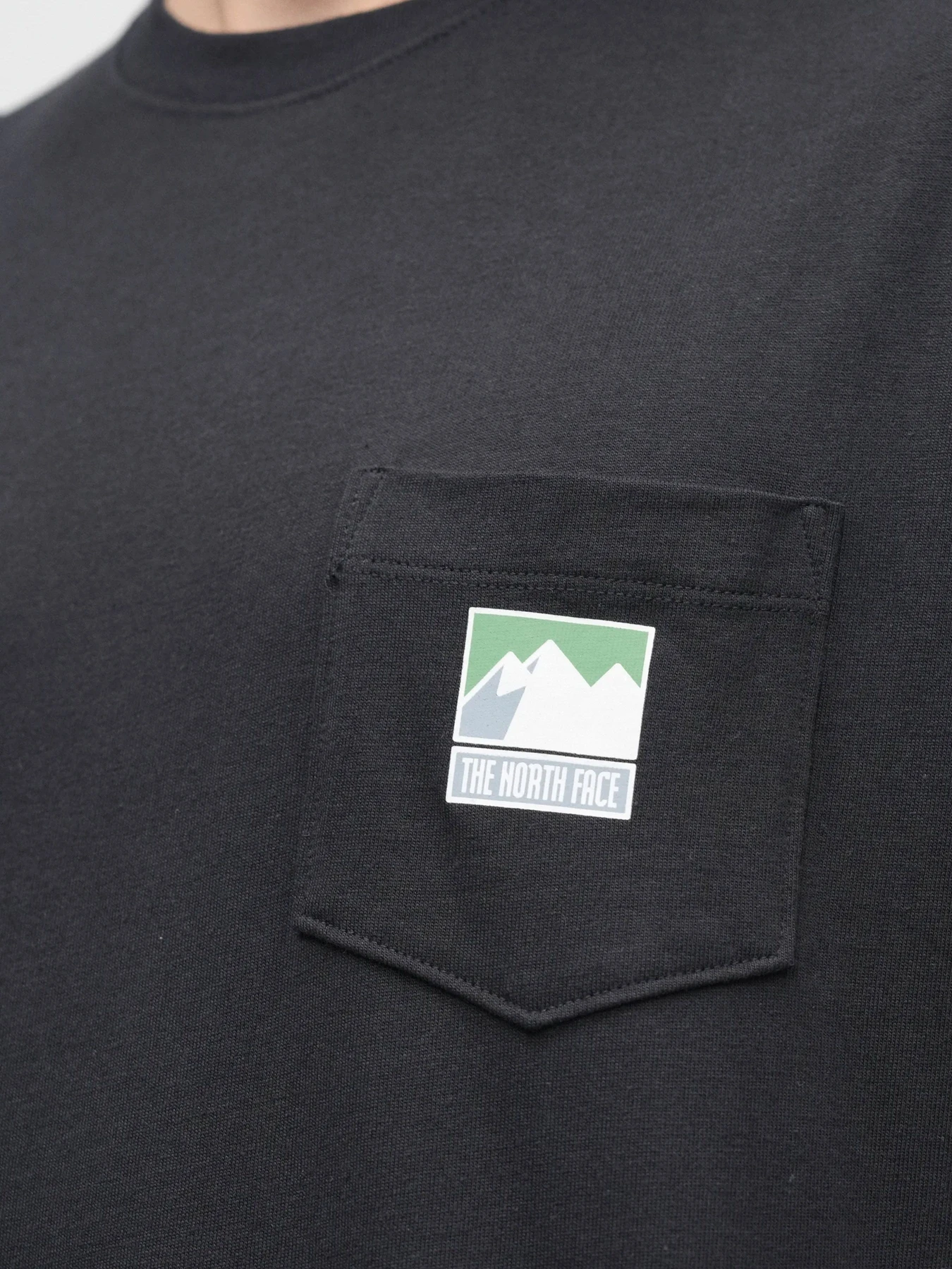Футболки и поло The North Face модель NF0A8GUUJK31 Футболки и поло The North Face модель NF0A8GUUJK31 Фото