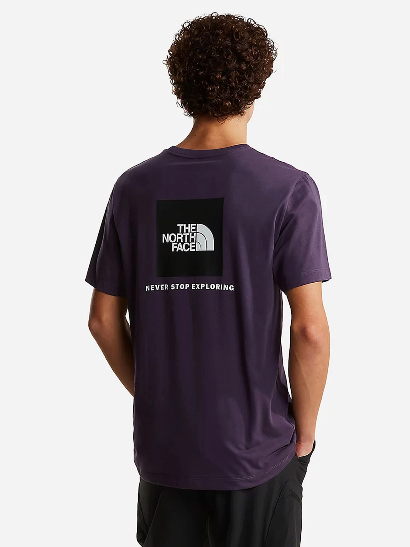 Футболки и поло The North Face модель NF0A8B6KG5O1 Футболки и поло The North Face модель NF0A8B6KG5O1 Фото