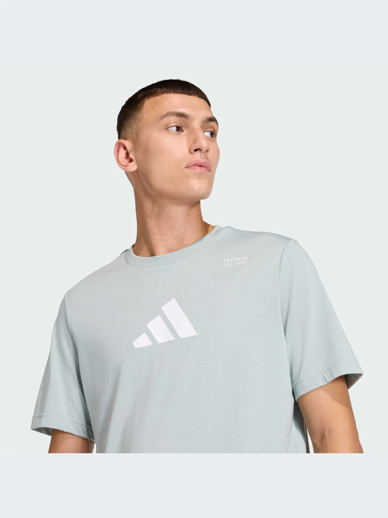 Футболки и поло Adidas Clima модель KE6101-KZ Футболки и поло Adidas Clima модель KE6101-KZ Фото