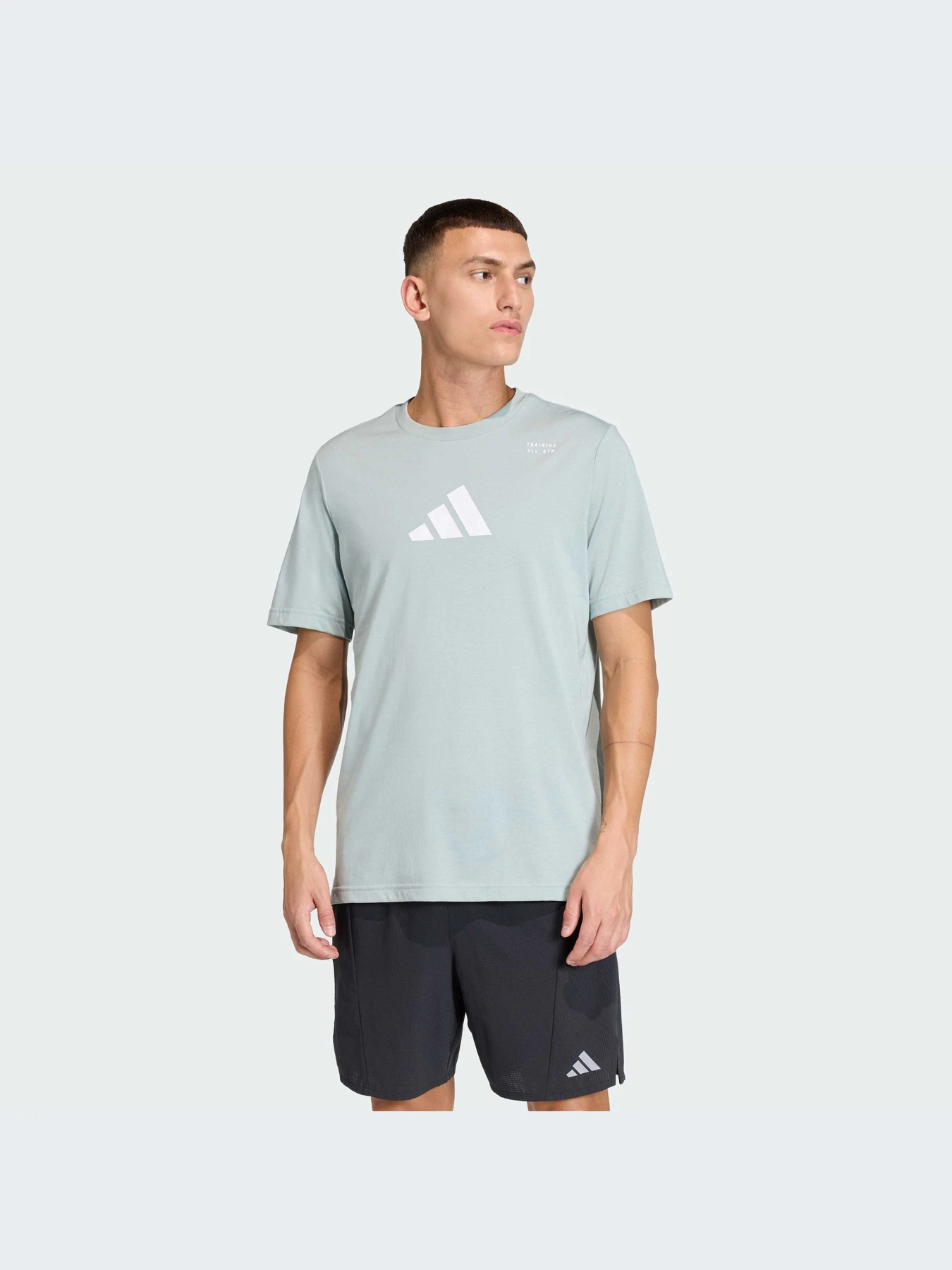 Футболки и поло Adidas Clima модель KE6101-KZ Футболки и поло Adidas Clima модель KE6101-KZ Фото