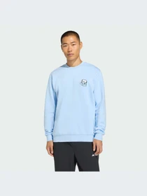 Худи и свитшоты Adidas модель KB9614-KZ Фото
