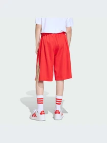 Шорты Adidas модель KD3409-KZ Фото