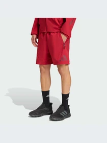 Шорты Adidas ZNE модель KD8491-KZ Фото