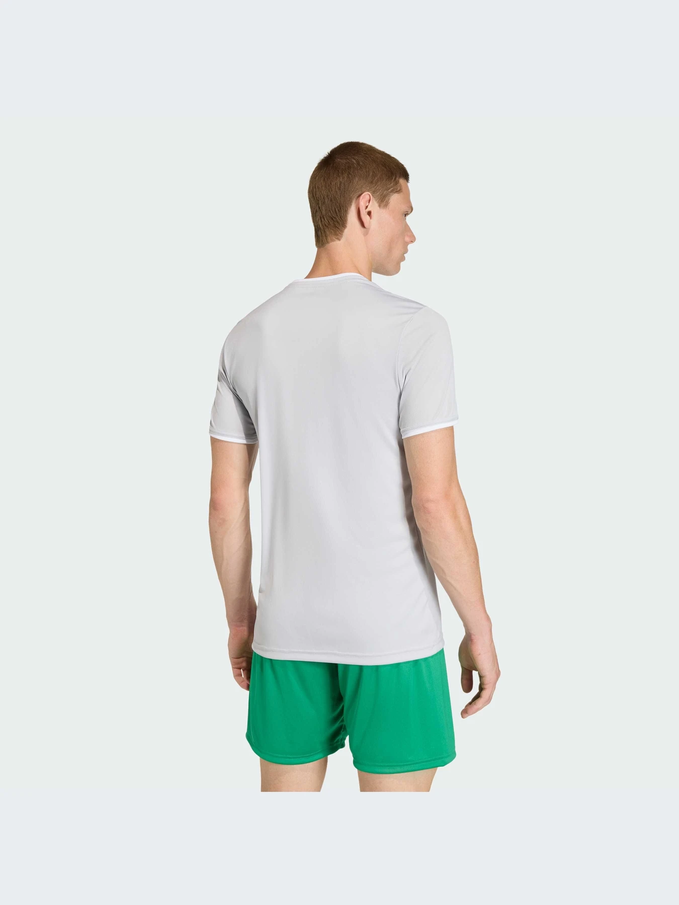 Футболки и поло Adidas модель JZ2511-KZ Футболки и поло Adidas модель JZ2511-KZ Фото