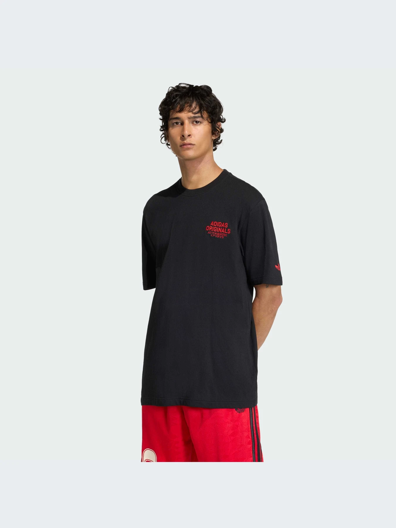 Футболки и поло Adidas Graphics модель KE2253-KZ Футболки и поло Adidas Graphics модель KE2253-KZ Фото
