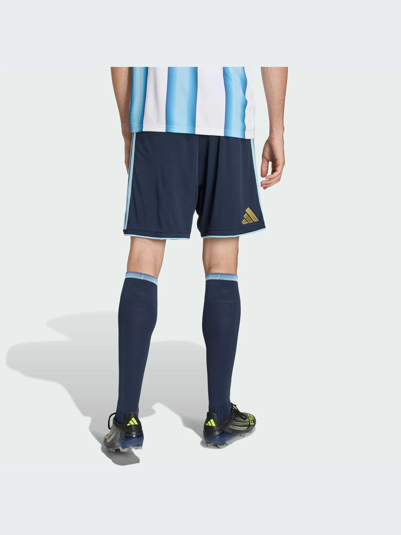 Шорты Adidas модель JM1325-KZ Шорты Adidas модель JM1325-KZ Фото