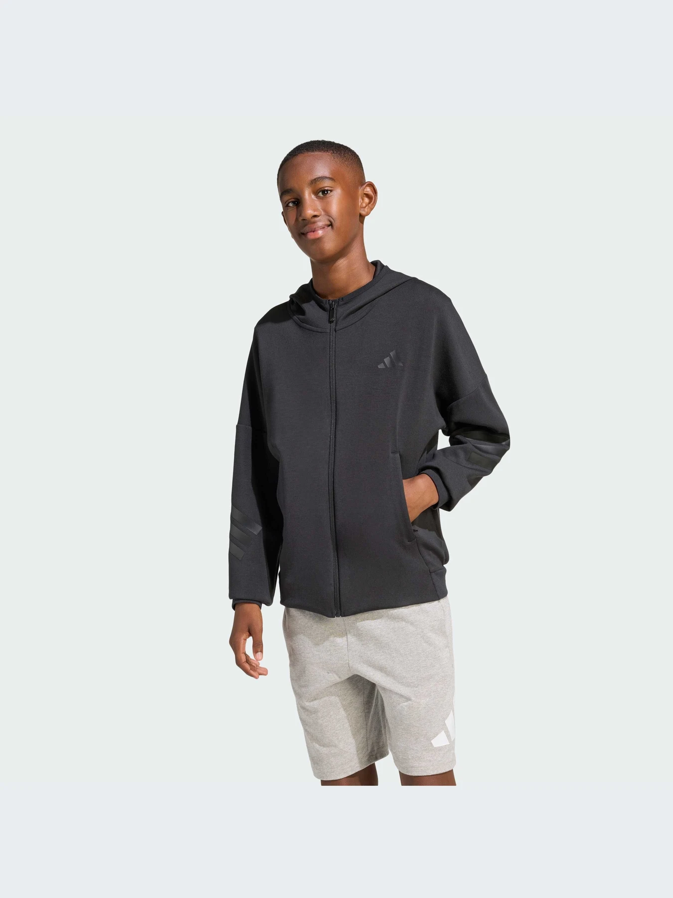 Худи и свитшоты Adidas Icons модель KS2577-KZ Худи и свитшоты Adidas Icons модель KS2577-KZ Фото